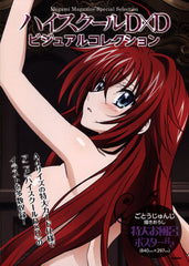 High School DxD Wall Visual Collection